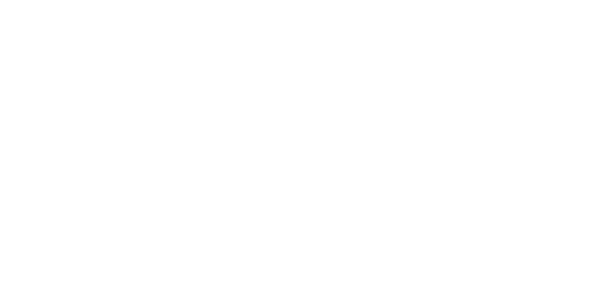 에이스 게이밍 logo